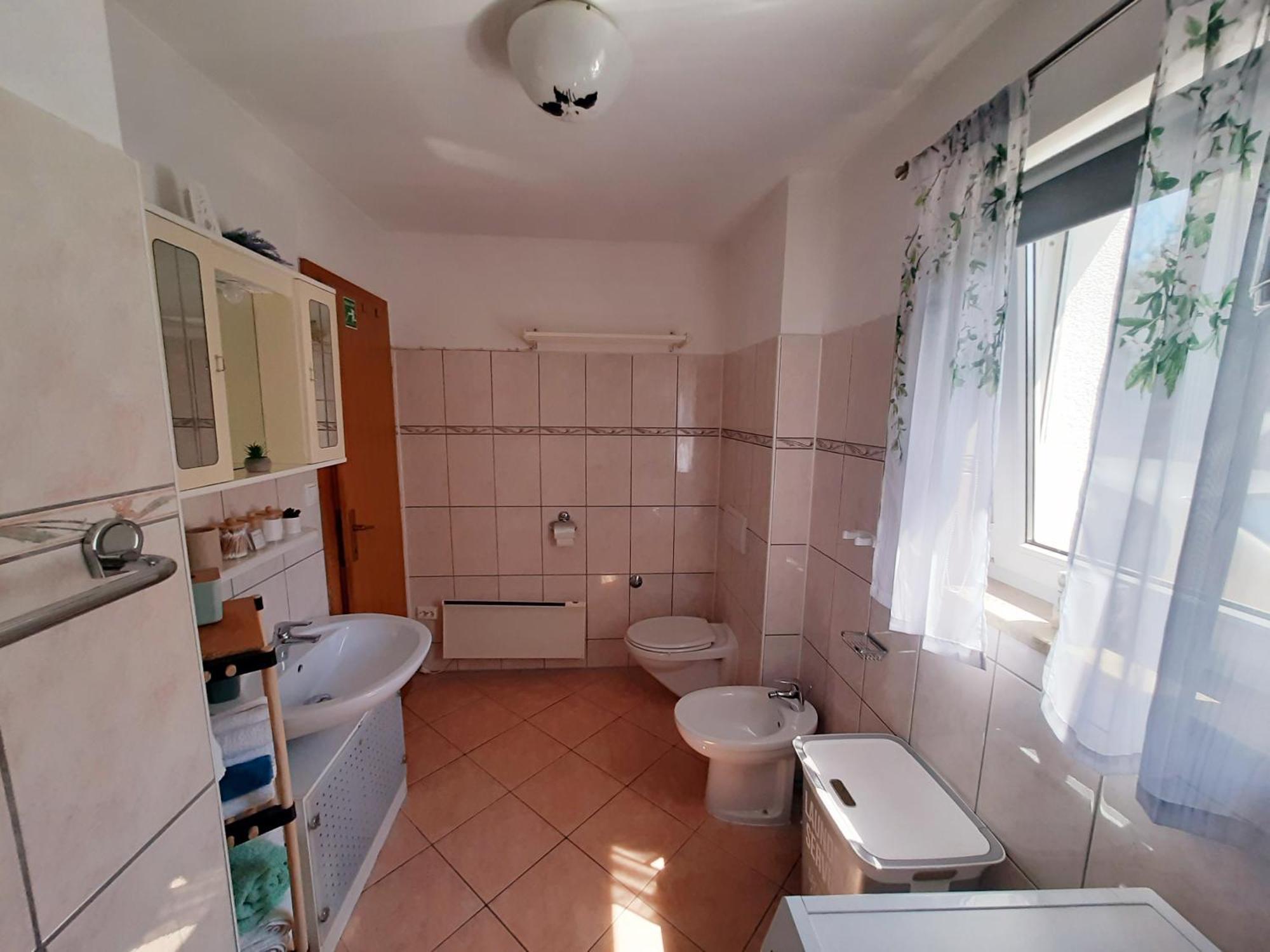 Solis * Sveti Vid-Miholjice